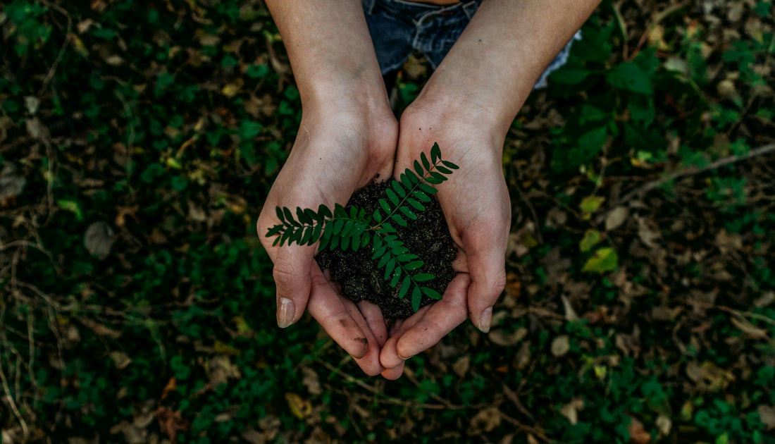 Embracing Nature with LeafyLoom: Our Commitment to a Greener Future - LeafyLoom