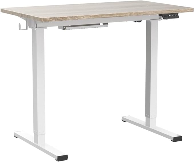 FLEXISPOT Standing Desk Quick Assembly Electric Stand Up Desk Whole-Piece Desktop Ergonomic Memory Controller Height Adjustable Desk(White Frame + 40" Grey Wood Grain Desktop) - LeafyLoom