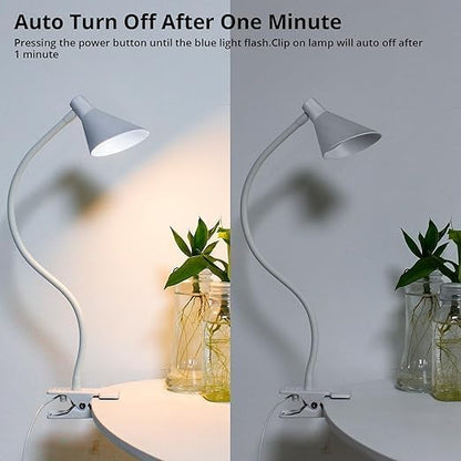 Desk Clip Light,3 Light Modes 10 Dimmable Brightness Reading Light, Flexible Neck Bedside Lamp, Small Table Clamp Lamp for Office, Bedroom, Bed Headboard, Study(White) - LeafyLoom