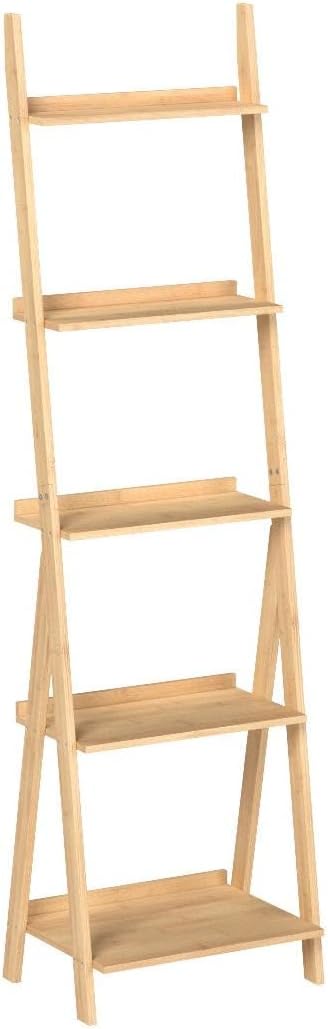 HYNAWIN Corner Ladder Shelf Storage Shelving, 5 Tier Books/CDs/Albums/Files Holder in Living Room Home Office,Simple Assembly - LeafyLoom