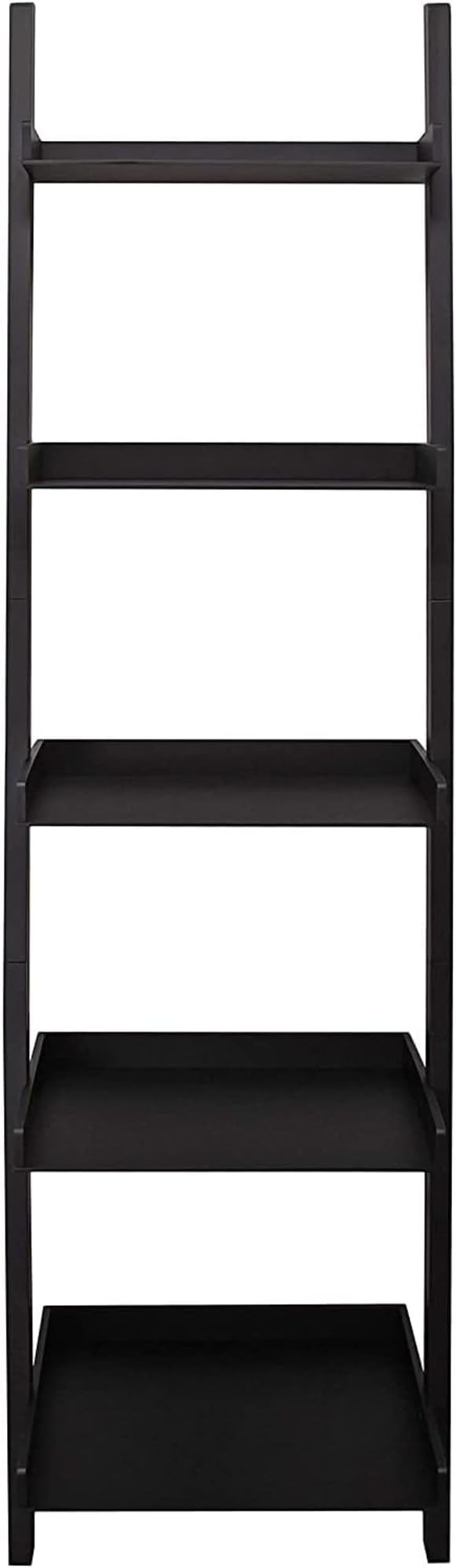 Kiera Grace Providence Hadfield 5 Tier Ladder Shelf Modern Leaning Bookshelf Storage Rack for Home, Office, 18" x 67", Black - LeafyLoom