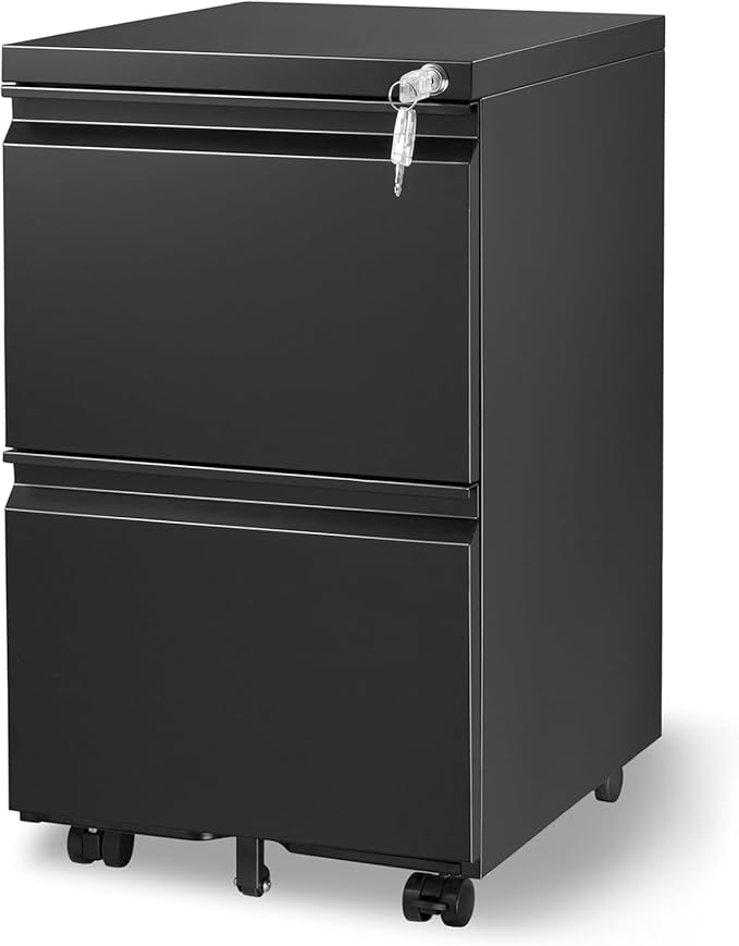 2-Drawer Mobile File Cabinets Rolling Metal Filing Cabinet for Legal & Letter File Anti-tilt Design with Lock Under Desk Office Drawers Fully Assembled Except Casters Black - LeafyLoom