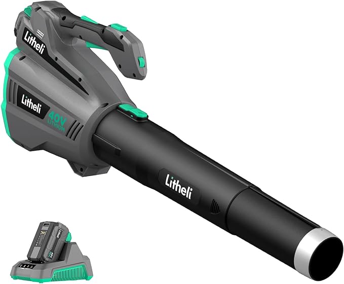 Litheli Cordless Leaf Blower 40V, 480 CFM Battery Leaf Blowers for Lawn Care, with Brushless Motor, Axial Blower for Blowing Leaf, Dust, Snow, Debris, with 2.5Ah Battery & Charger Included, Black - LeafyLoom