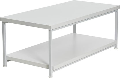 Household Essentials Jamestown Rectangular Coffee Table with Storage Shelf Scandinavian White and White Metal - LeafyLoom