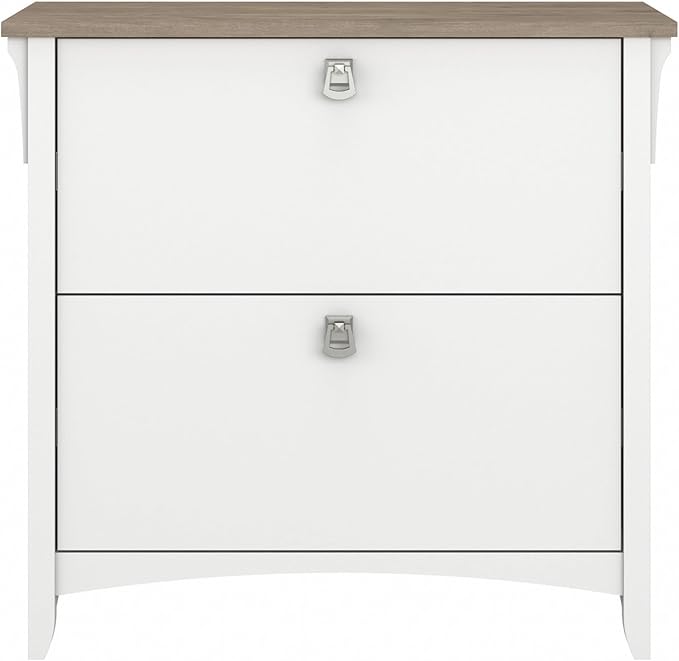 Bush Furniture Salinas 2 Drawer Lateral File Cabinet in Pure White and Shiplap Gray - LeafyLoom