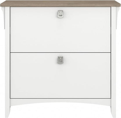 Bush Furniture Salinas 2 Drawer Lateral File Cabinet in Pure White and Shiplap Gray - LeafyLoom