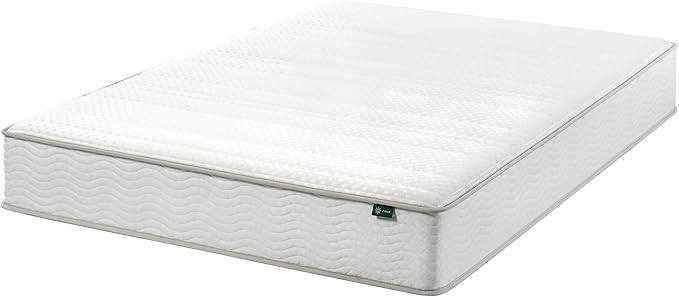 ZINUS 10 Inch Foam and Spring Hybrid Mattress [New Version], Queen, Fiberglass free, Medium Firmness, Durable Support, Certified Safe Foams & Fabric, Mattress in A Box - LeafyLoom