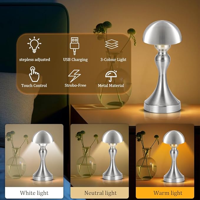 Portable LED Table Lamp, 3-Levels Brightness Metal Desk Lamp, 3 Color Touch Control Rechargeable Lamp, Night Light, Bedside Lamp,Dining Room Lamp (Silver) - LeafyLoom