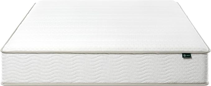 ZINUS 10 Inch Foam and Spring Hybrid Mattress [New Version], Queen, Fiberglass free, Medium Firmness, Durable Support, Certified Safe Foams & Fabric, Mattress in A Box - LeafyLoom