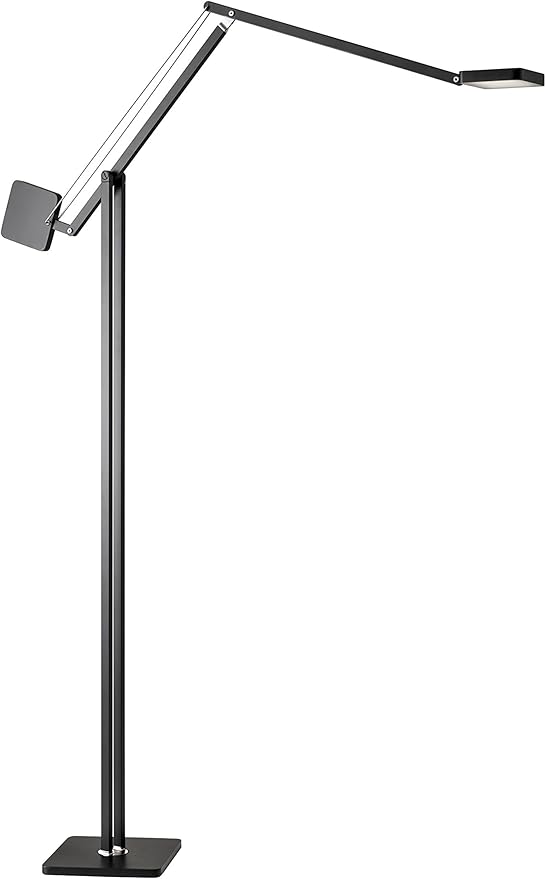 ADS360 AD9131-01 Cooper LED, Floor Lamp, Black - LeafyLoom