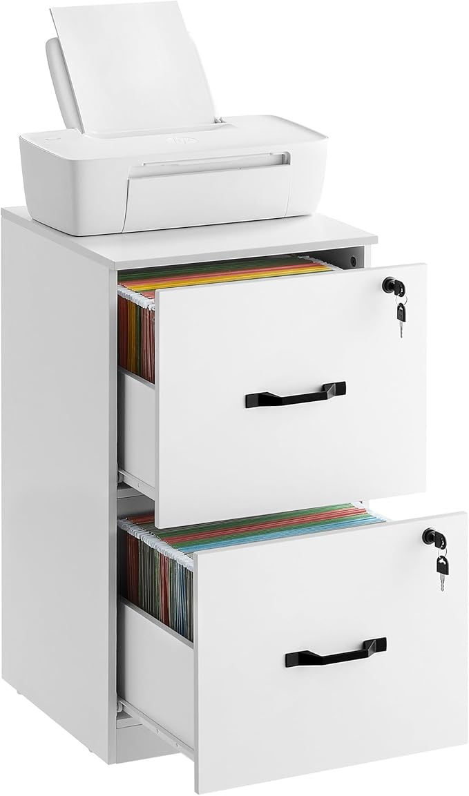 VASAGLE 2-Drawer Vertical File Cabinet, Filing Cabinet for Home Office, Printer Stand, with 2 Lockable Drawers, Adjustable Hanging Rail, for A4 and Letter-Size Files, Cloud White UOFC016W14 - LeafyLoom