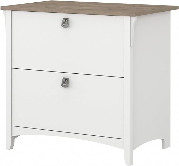 Bush Furniture Salinas 2 Drawer Lateral File Cabinet in Pure White and Shiplap Gray - LeafyLoom