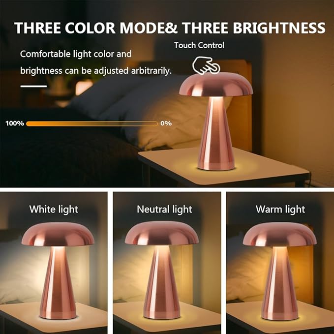 Portable Metal Desk Lamp,3-Color Touch Control, Rechargeable Battery - Ideal Bedside Lamp for Bedroom Nightstand - LeafyLoom