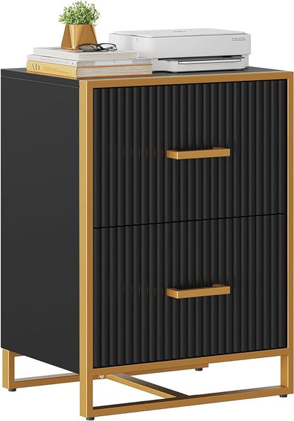 YITAHOME 2 Drawer File Cabinet, Lateral Filing Cabinet for Home Office, Black and Gold - LeafyLoom