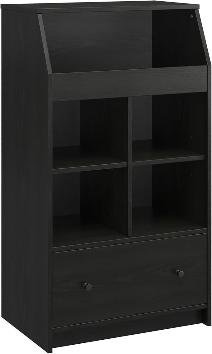 Ameriwood Home The Loft 2 Door Storage Tower, Large, Black Oak - LeafyLoom