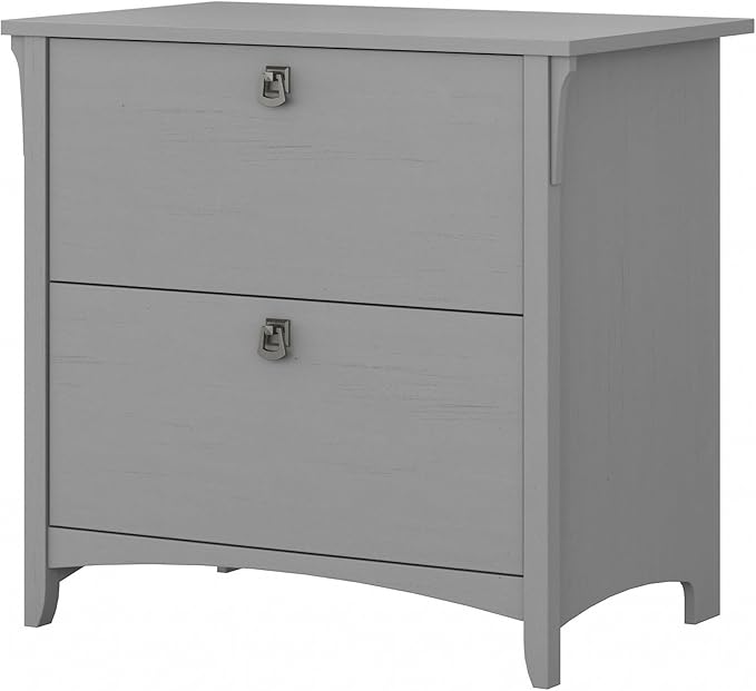 Bush Furniture Salinas 2 Drawer Lateral File Cabinet in Cape Cod Gray - LeafyLoom