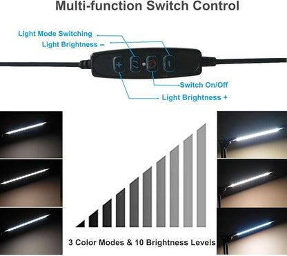 LED Desk Lamp,Eye-Caring Metal Swing Arm Desk Lamp with Clamp,10 Dimmable Brightness 3 Light Modes Reading Lamp,Desk Light for Home Office(2 Pack) - LeafyLoom