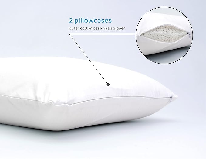 Natural Talalay Latex Foam Pillow DreamLogix - Queen Size Soft Pillow for Sleeping, Side & Back Sleepers, 100% Natural Cover, Neck Support, Pain Relief, (Soft, Queen Size 28''x16''x6'') - LeafyLoom