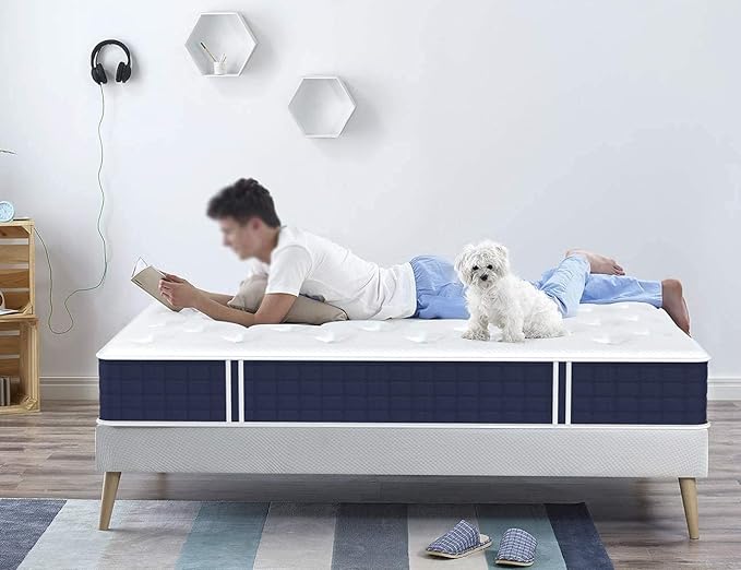 Coolvie Twin XL Mattress, 10 Inch Twin XL Size Hybrid Mattress, Individual Pocket Springs with Memory Foam, Bed in a Box, Cooler Sleep with Pressure Relief and Support - LeafyLoom