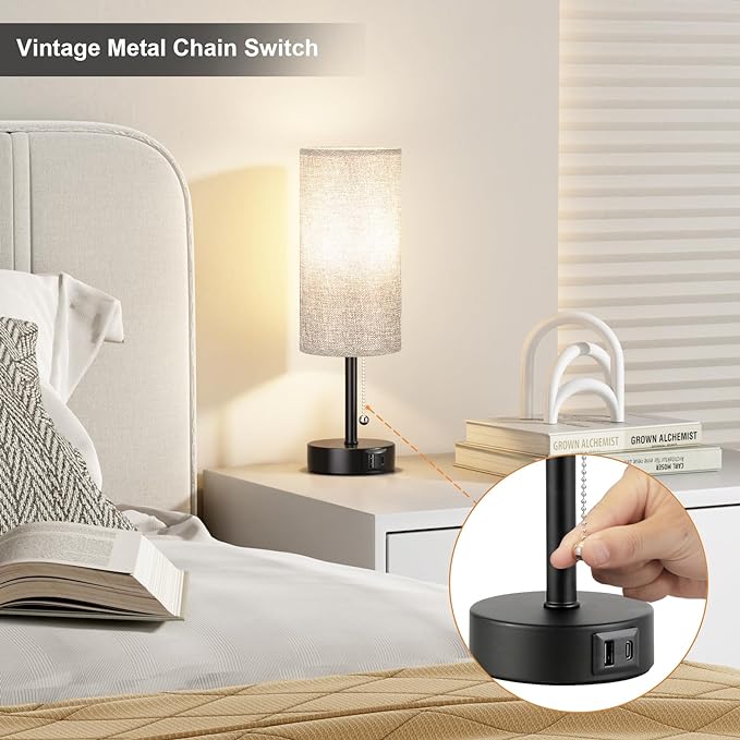 Grey Bedside Lamp for Bedroom Nightstand - Small Table Lamp with USB A + C Charging Port, 3 Color Temperatures Pull Chain Night Stand Light with Bulb, Side Table Desk Reading Lamp for Living Room - LeafyLoom