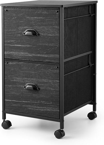 TOPSKY Mobile File Cabinet, Fabric Vertical File Cabinet for Letter Size (Black, 2 Drawer) - LeafyLoom