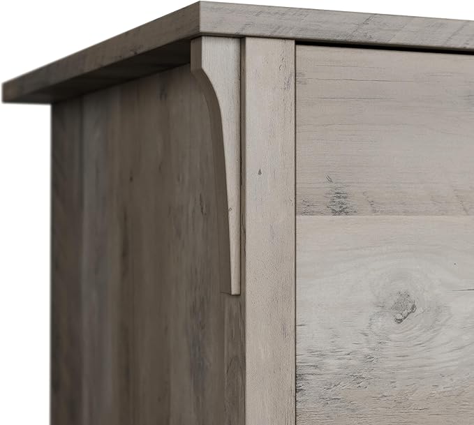 Bush Furniture Salinas Accent Storage Cabinet with Doors in Driftwood Gray - LeafyLoom