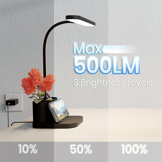 AXX Desk Lamp for College Dorm Room, School Study Supplies for Teens Kids, Office Desk Lights with Organizer/Storage, Desktop Lamp for Bedroom, LED, Small, Black, Pen Holder, Gooseneck - LeafyLoom