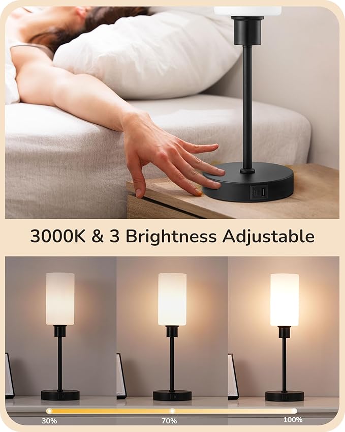 EDISHINE 19" Glass Table Lamp with Full Body Touch Control, Modern Bedside Lamp, 3-Stage Dimmable & USB-A+Type-C Charging Ports, Nightstand Lamp for Living Room, Bedroom (Black) - LeafyLoom