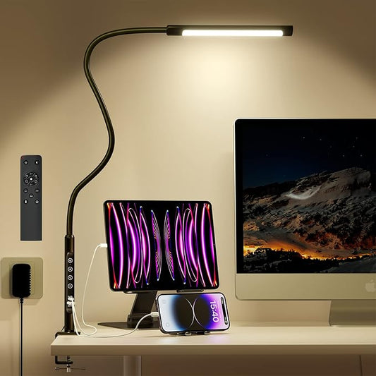 Desk Lamp with Remote Control, Aluminum Alloy Desk Lamps for Home Office, Desk Light with Dimmable 6 Color Modes & 6 Brightness, LED Desk Lamp with 2 USB Charging Ports (Type-C & A) - LeafyLoom