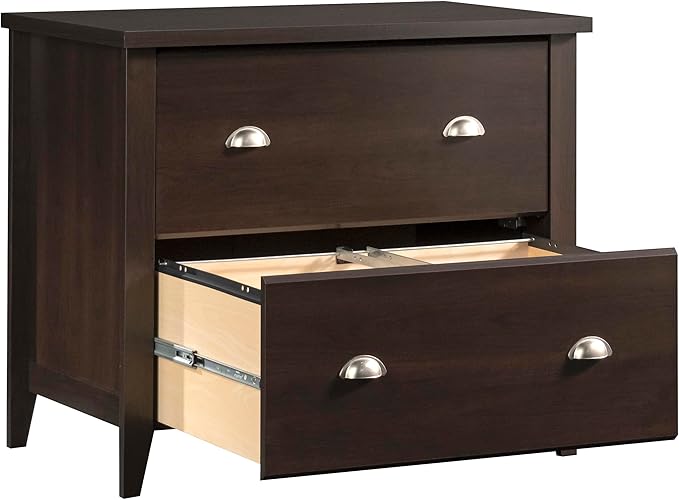 Sauder Summit Station 2-Drawer Lateral File Cabinet, L: 33.86" x W: 20.87" x H: 29.02", Cinnamon Cherry finish - LeafyLoom