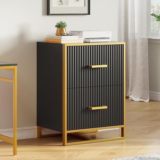 YITAHOME 2 Drawer File Cabinet, Lateral Filing Cabinet for Home Office, Black and Gold - LeafyLoom