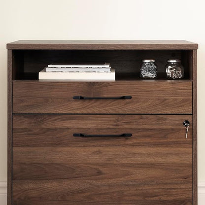 South Shore Helsy 2-Drawer File Cabinet, Lateral, Natural Walnut - LeafyLoom