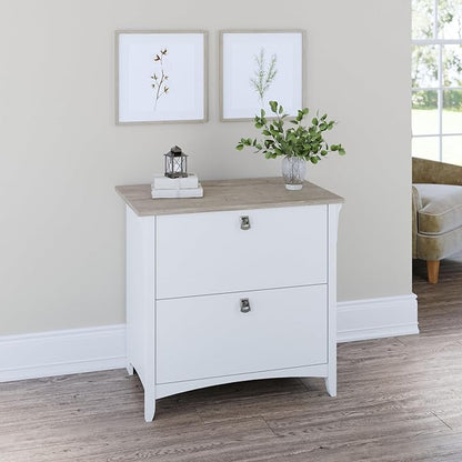 Bush Furniture Salinas 2 Drawer Lateral File Cabinet in Pure White and Shiplap Gray - LeafyLoom