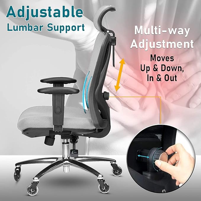 Duramont Ergonomic Office Chair with Adjustable Lumbar Support High LeafyLoom