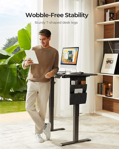 Standing Desk Adjustable Height, Electric Standing Desk with Starage Bag, Stand up Desk for Home Office Computer Desk Memory Preset with Headphone Hook, 48x24 Inch, Black - LeafyLoom