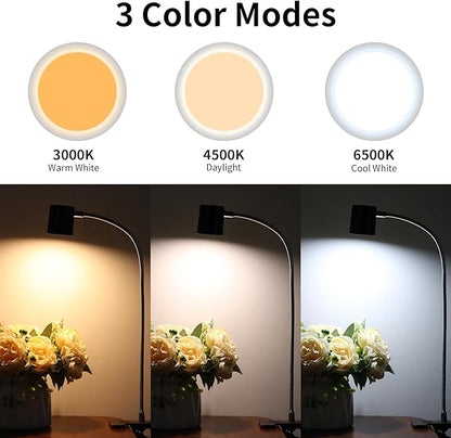 Dott Arts Desk Lamp,USB Clip On Light with 3 Color Modes,LED 10 Levels Brightness Reading Lamp, 360° Gooseneck Book Light,Eye-Care Reading Light for Home Office,Headboards Brown - LeafyLoom