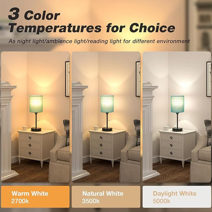 Dicoool Green Table Lamps 3 Color Temperatures - 2700K 3500K 5000K Bedside Lamp with USB C and A Ports, Pull Chain Lamp for Bedroom with AC Outlet, Nightstand Lamp with Black Metal Base for Kids Boys - LeafyLoom