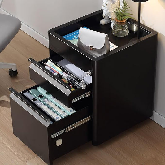 2 Drawer Mobile File Cabinet Top Storage Shelf, Rolling Metal Filing Cabinet for Legal & Letter File Anti-tilt Design with Lock Under Desk Office Drawers Fully Assembled Except Casters(Top ST B) - LeafyLoom