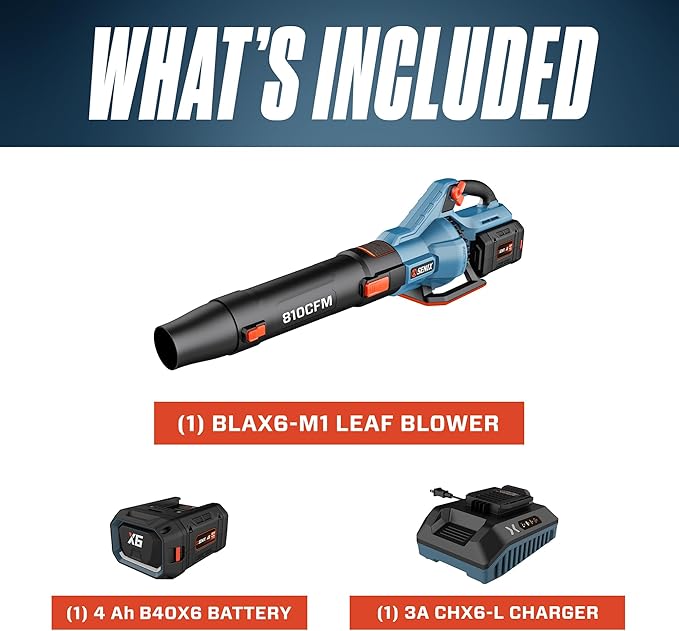 SENIX X6 60 Volt Max* Handheld Cordless Leaf Blower, Up to 810 CFM and 170 MPH, Variable Speed, Cruise Control, Lightweight, includes 4.0 Ah Battery and 3 Amp Charger (BLAX6-M1) - LeafyLoom