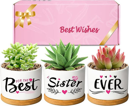 Mothers Day Sisters Gifts for Sister, Gifts for Sister from Brother Sister Birthday Gifts, Soul Sister Gifts for Women Sister in Law Gifts, Best Sister Ever Succulent Pots - LeafyLoom