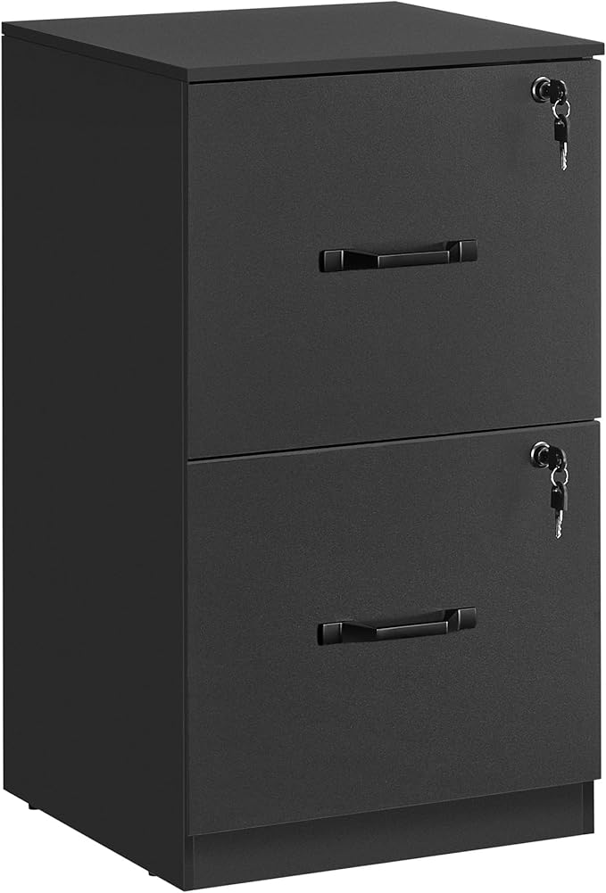 VASAGLE 2-Drawer Vertical File Cabinet, Filing Cabinet for Home Office, Printer Stand, with 2 Lockable Drawers, Adjustable Hanging Rail, for A4 and Letter-Size Files, Ink Black UOFC061B16 - LeafyLoom