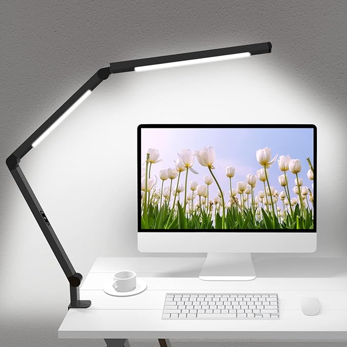 LED Desk Lamp with Clamp, Architect Desk Lamp with Dual Light and Adjustable Swing Arm, Clip-on Eye-Care 4 CCT Modes & 5 Brightness Levels Table Light Modern Desk Light for Home Office - LeafyLoom