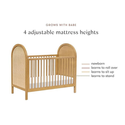 babyletto Bondi Cane 3-in-1 Convertible Crib with Toddler Bed Conversion Kit in Honey with Natural Cane, Greenguard Gold Certified - LeafyLoom