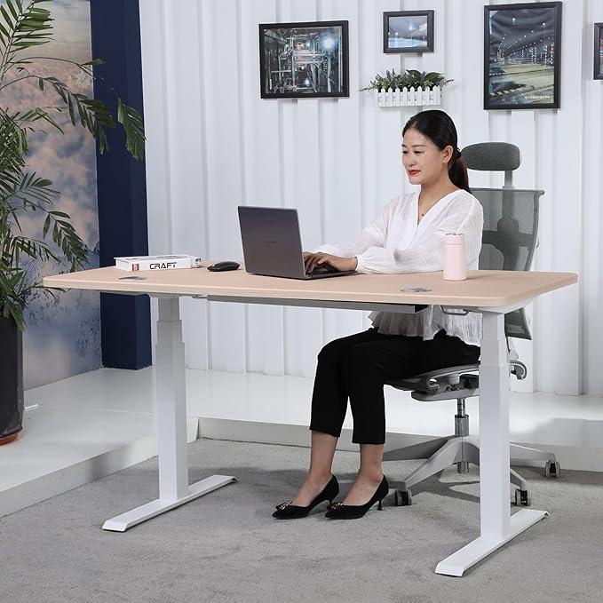 ApexDesk K Series 60" x 27" Electric Height Adjustable Standing Desk with LED Memory Controller (Light Oak) - LeafyLoom