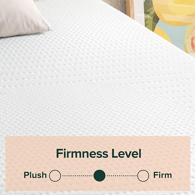 ZINUS 12 Inch Green Tea Essential Memory Foam Mattress, Twin, Mattress in A Box, Affordable Mattress, CertiPUR-US Certified - LeafyLoom