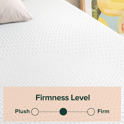 ZINUS 12 Inch Green Tea Essential Memory Foam Mattress, Full, Mattress in A Box, Affordable Mattress, CertiPUR-US Certified - LeafyLoom