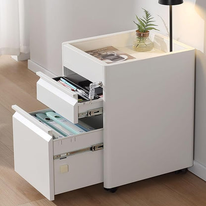 2 Drawer Mobile File Cabinet Top Storage Shelf, Rolling Metal Filing Cabinet for Legal & Letter File Anti-tilt Design with Lock Under Desk Office Drawers Fully Assembled Except Casters(Top ST W) - LeafyLoom