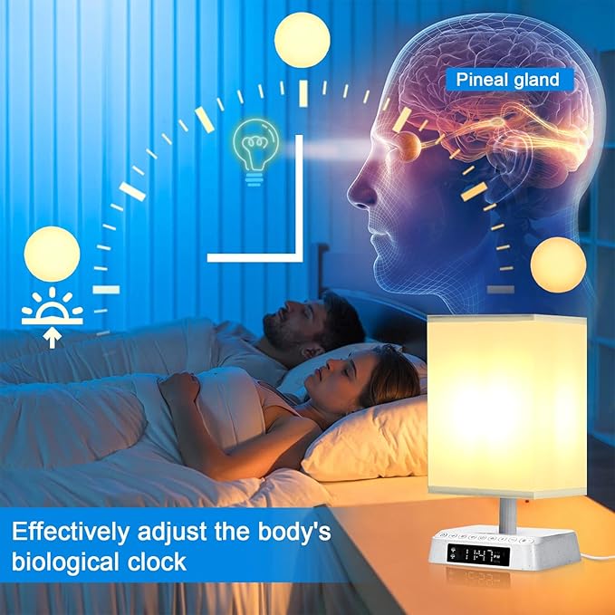 Nightstand Lamp Sound and Light Awakening Bioclock Adjustment lamp Sunrise Wake up lamp Built-in White Noise 3 Color Adjustable for Livingroom Bedroom Office Reading Working - LeafyLoom