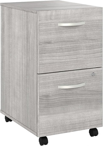 Bush Business Furniture HYF116PGSU-Z Hybrid 2-Drawer Mobile File Cabinet, Letter/Legal, Platinum Gray, 20-Inch, - LeafyLoom