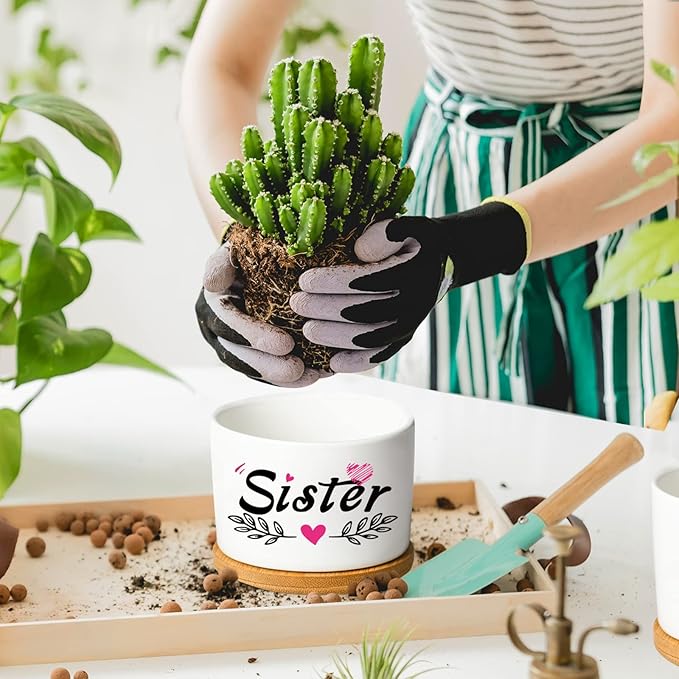 Mothers Day Sisters Gifts for Sister, Gifts for Sister from Brother Sister Birthday Gifts, Soul Sister Gifts for Women Sister in Law Gifts, Best Sister Ever Succulent Pots - LeafyLoom